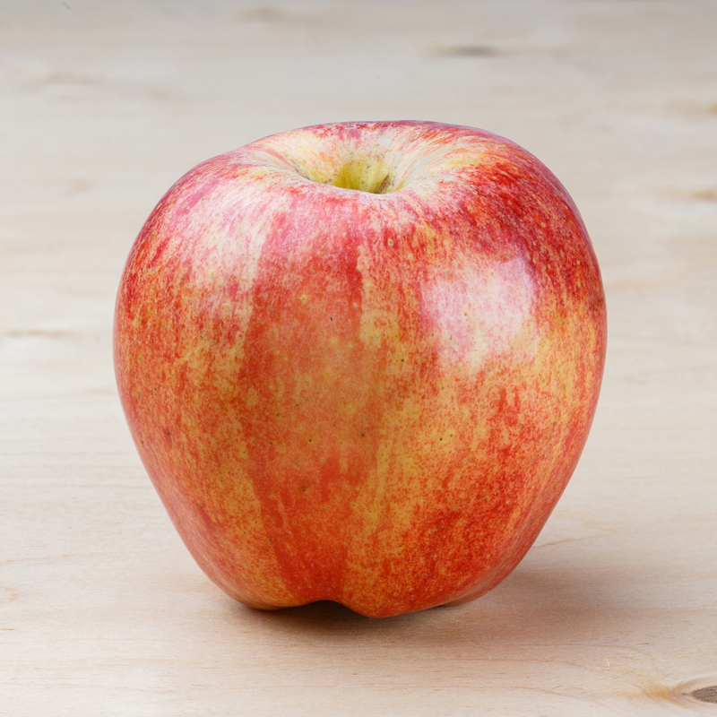 Dave Wilson 3n1 Combo Apple Bare Root Fruit Tree