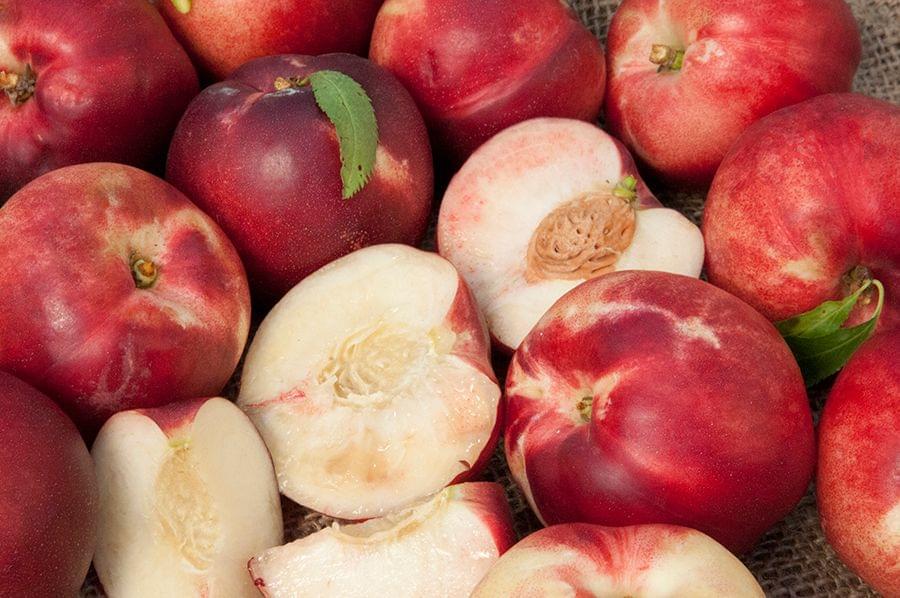 Dave Wilson Arctic Babe Nectarine Bare Root Fruit Tree