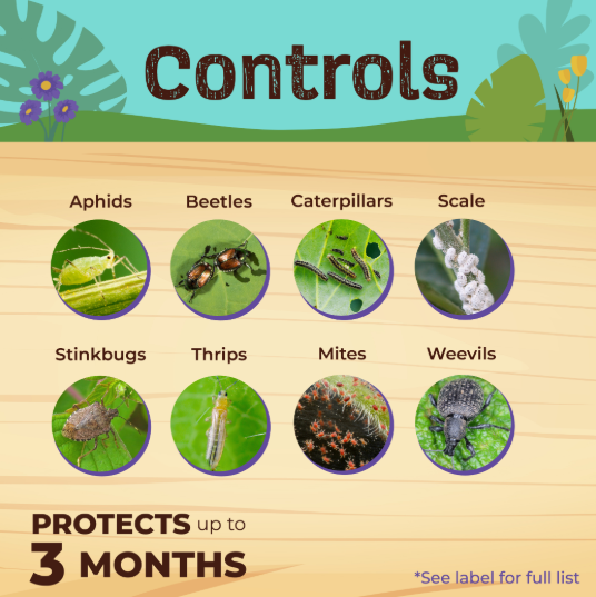 Captain Jack's Fruit Tree Spray Concentrate - Pint