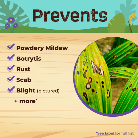 Captain Jack's Fruit Tree Spray Concentrate - Pint