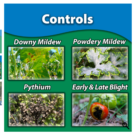 Monterey Complete Disease Control Ready to Use - Quart