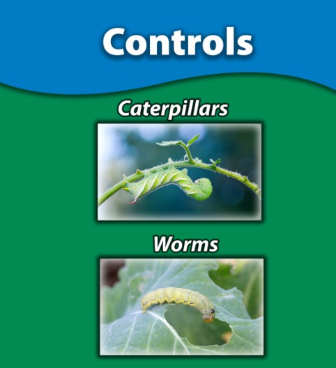 Monterey BT Caterpillar Control Concentrate - 8oz