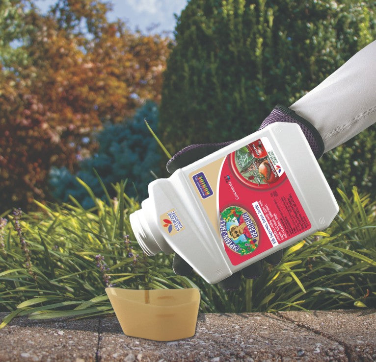 Captain Jack's Deadbug Brew Concentrate - Quart