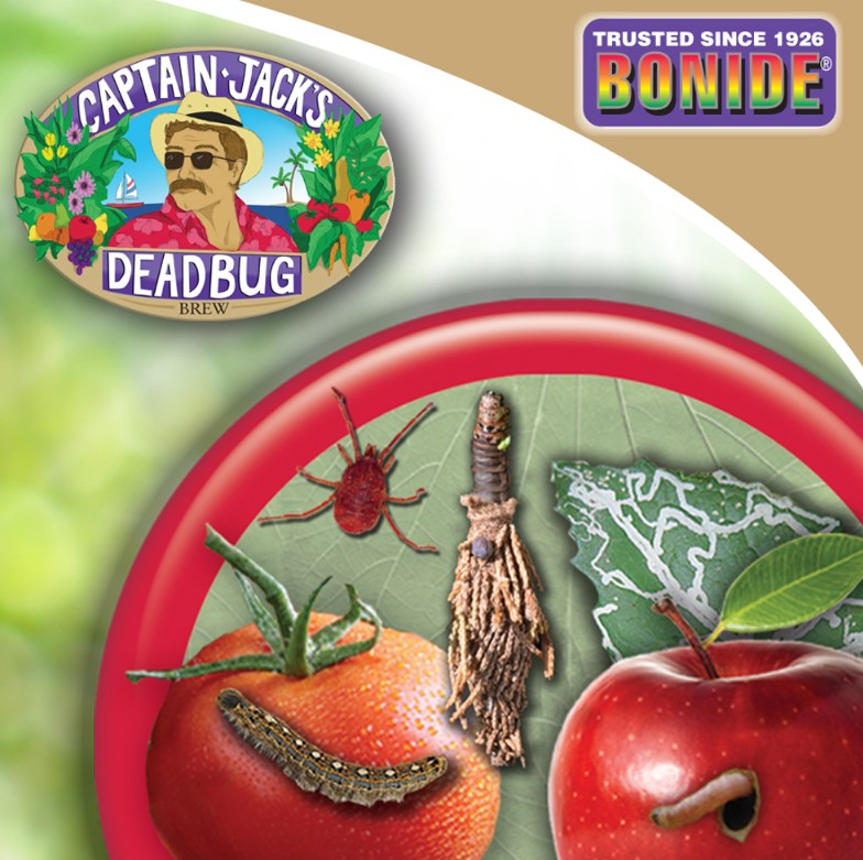 Captain Jack's Deadbug Brew Concentrate - Quart