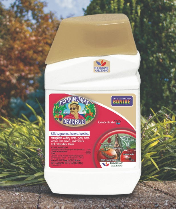 Captain Jack's Deadbug Brew Concentrate - Quart