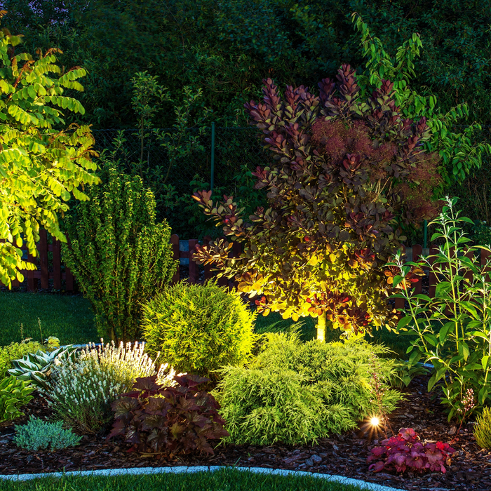 CLASS Plant Combos: Trees and Shrubs