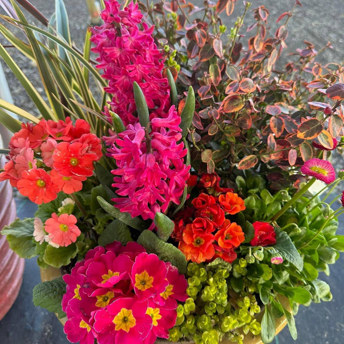 CLASS Autumn Arrangements: Designing Your Fall Containers