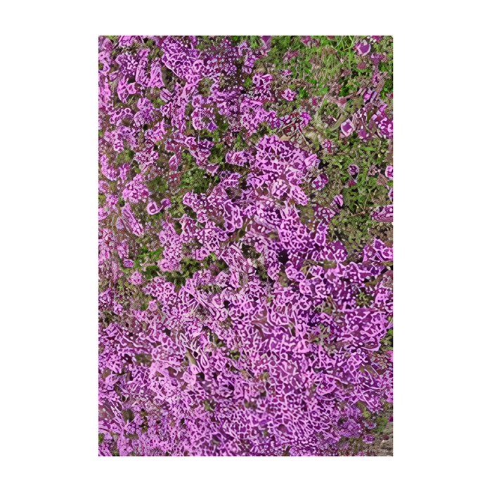 CLASS: The Green Carpet - Designing with Ground Cover