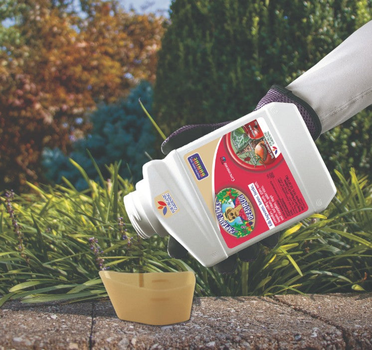 Captain Jack's Deadbug Brew Concentrate - Pint