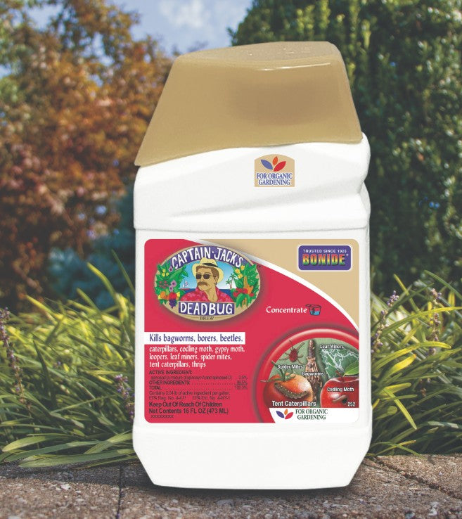 Captain Jack's Deadbug Brew Concentrate - Pint