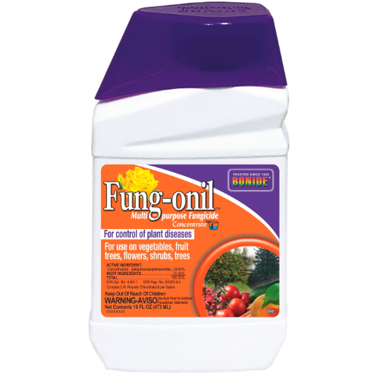 Bonide Fung-onil Fungicide Concentrate - Pint