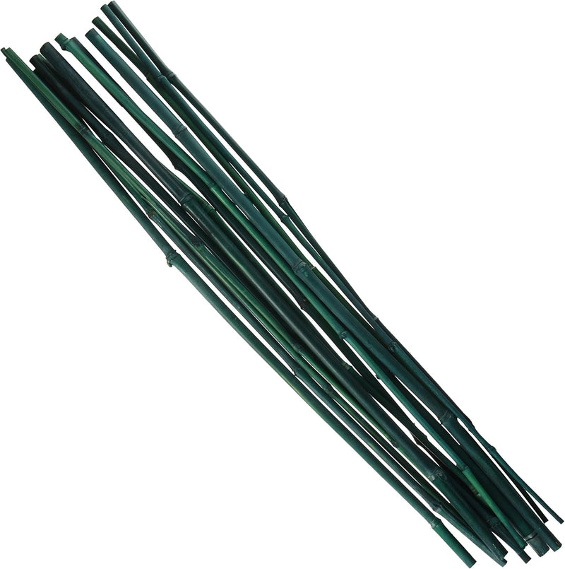 Gardener's Blue Ribbon Bamboo Stakes 6' - 6 Stakes