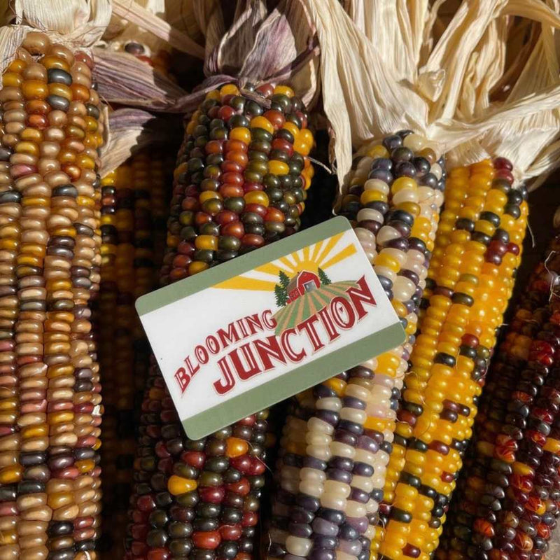 $25 Blooming Junction Gift Card