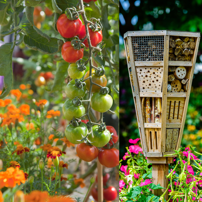CLASS Conscious Gardening