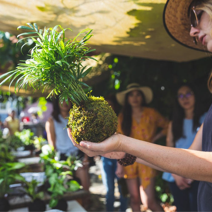 WORKSHOP: Kokedama Japanese Moss Ball