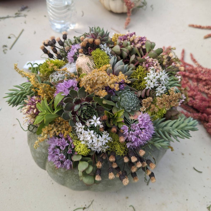WORKSHOP Decorating Succulent Pumpkins