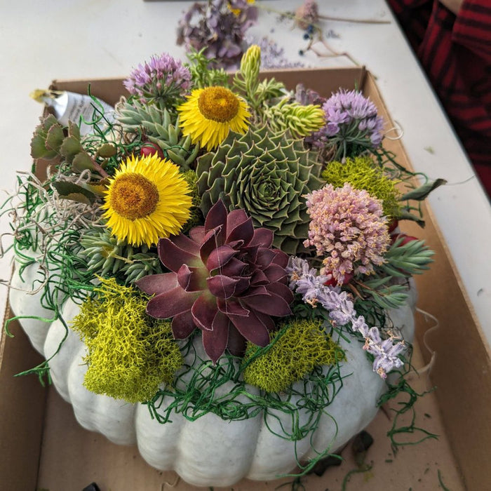 WORKSHOP Decorating Succulent Pumpkins