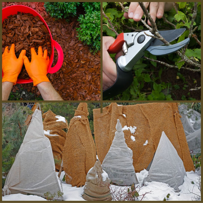 CLASS Putting Your Garden to Bed: Garden Winterization