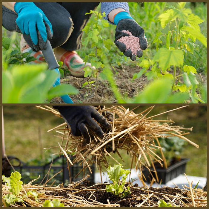 CLASS Putting Your Garden to Bed: Garden Winterization
