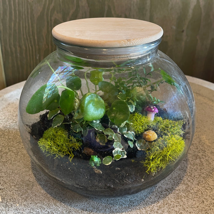 WORKSHOP Terrarium Creation