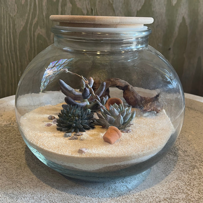 WORKSHOP Terrarium Creation