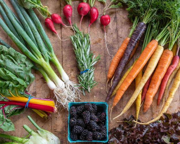 Summer/ Fall CSA 2024