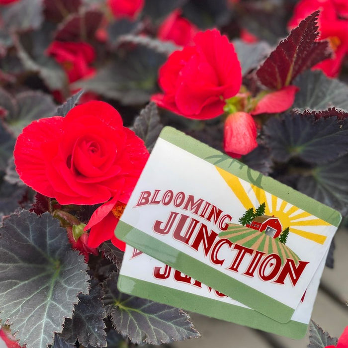 $50 Blooming Junction Gift Card