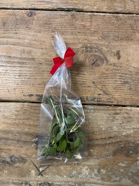 Mistletoe - 1 Bag