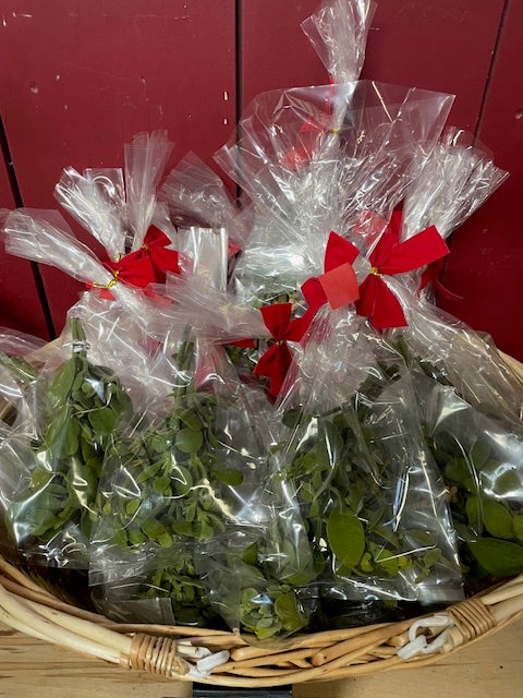 Mistletoe - 1 Bag