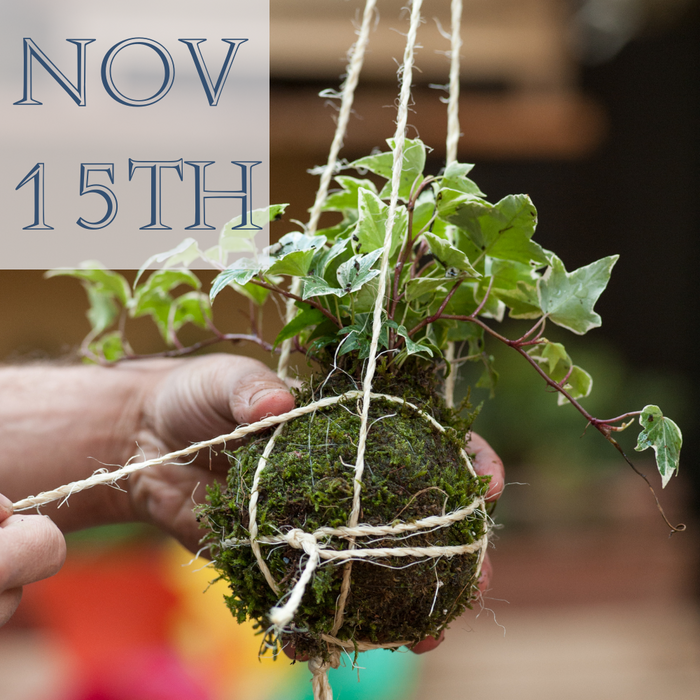 WORKSHOP: Kokedama Japanese Moss Ball