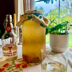 Workshop Make Your Own Kombucha