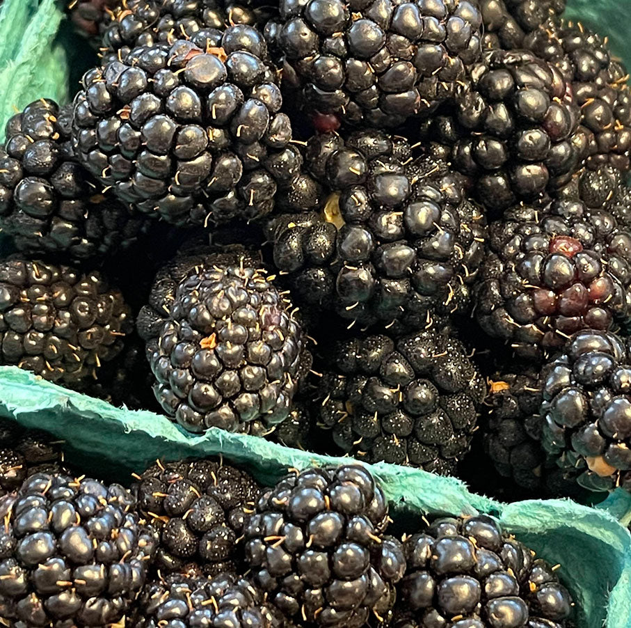 Blackberries Full Flats