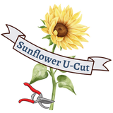 U-Cut Sunflower farm