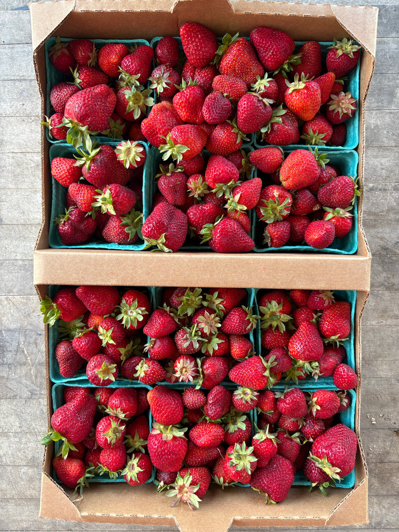 Strawberries - Full Flat