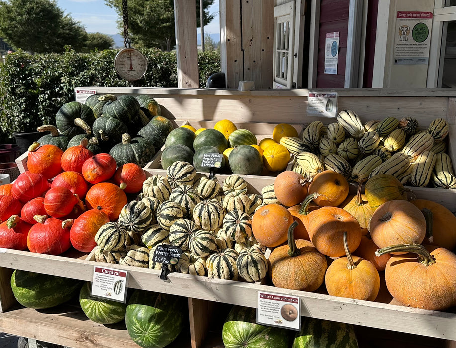 CLASS: From Garden to Table: Winter Squash & Pumpkin Prep