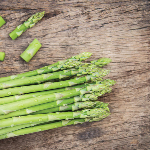 Asparagus Millennium Crown - 5/Bundle