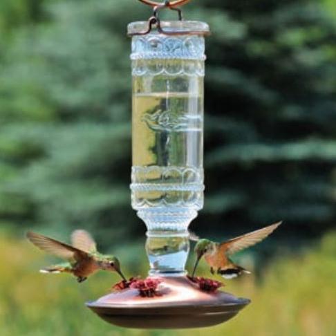 Clear Antique Bottle Hummingbird Feeder