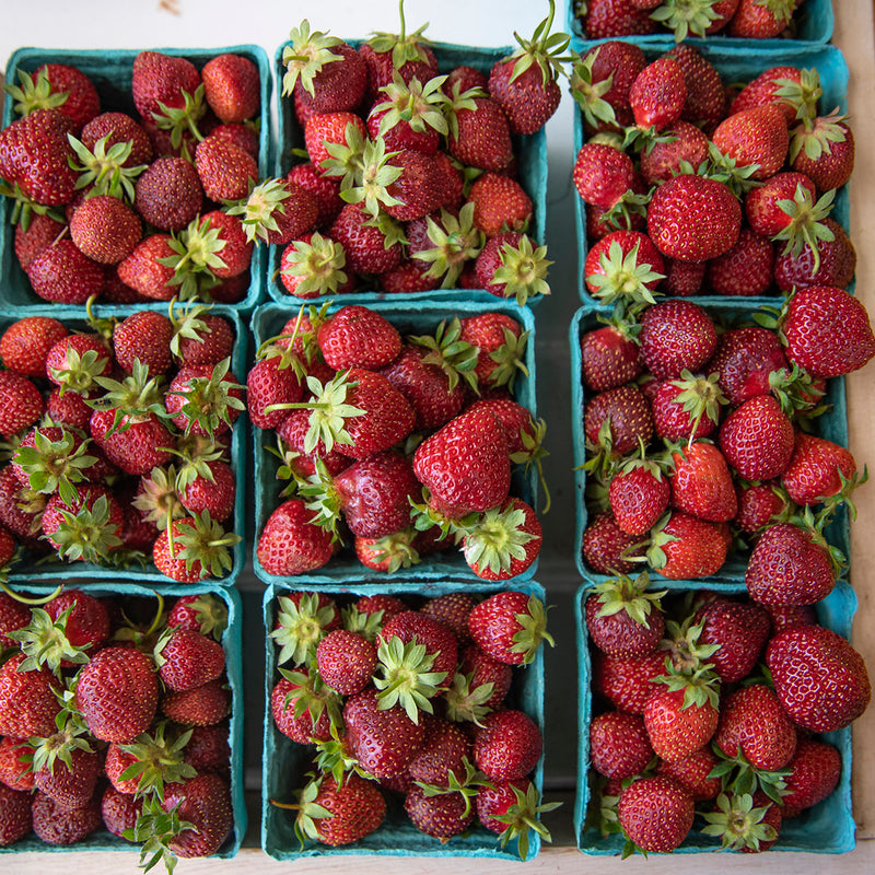 Strawberries - Full Flat